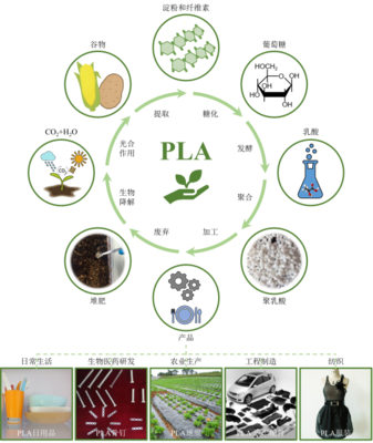 丁建勛 李鴻杰 楊佳臻(中國科學(xué)院長春應(yīng)用化學(xué)研究所):新時(shí)代生物質(zhì)降解材料聚乳酸,助力綠色環(huán)保的&ldquo;未來之鑰&rdquo;_作品展示