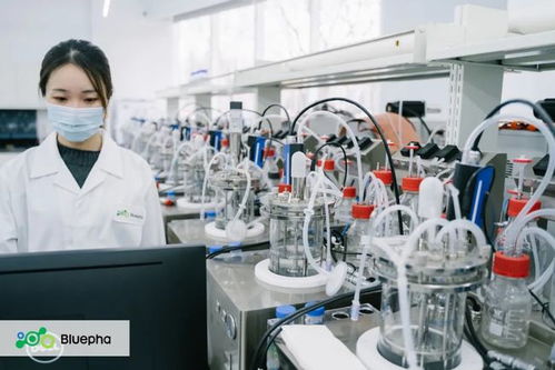 藍晶微生物獲15億元B輪系列融資，元生資本與混改基金領投，加速生物基材料研發