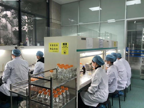 生物選考沖刺提分秘籍 高中生物實驗訓練營寒假開啟，助力未來生物基材料技術研發